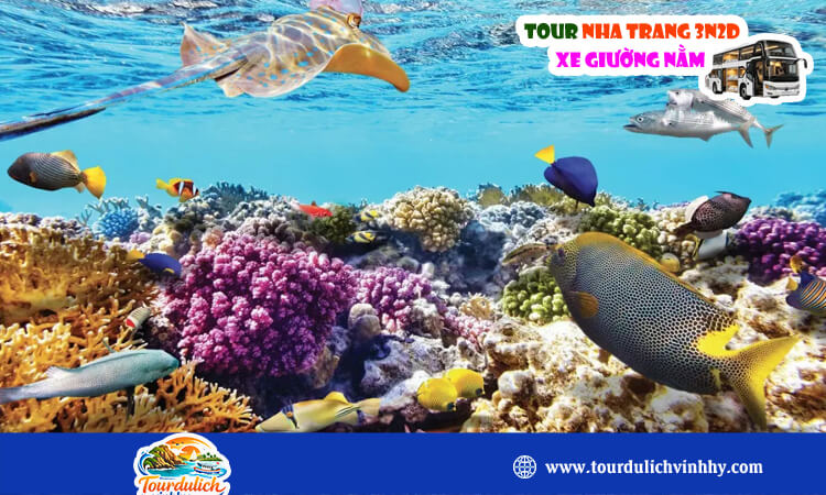 Tour Nha Trang xe giường nằm 3 ngày 2 đêm