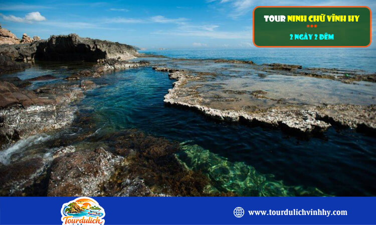 Tour Ninh Chữ Vĩnh Hy 2 ngày 2 đêm